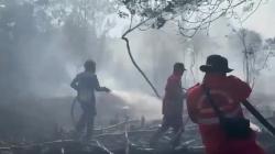 Kebakaran Lahan Semakin Meluas di Palangkaraya, Kobaran Api Dekati Permukiman<