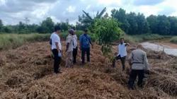 Warga Tanjung Pinang Kaget Temukan Kerangka Manusia di Kebun, Posisi Terpisah Jarak 5 Meter