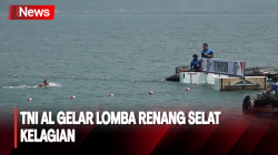 Melihat Lomba Renang Selat Kelagian di Lampung