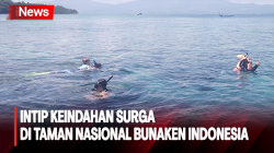 Berwisata di Taman Nasional Bunaken Indonesia, Pesona Keindahan Bahari 