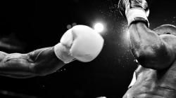 Duel Elon Musk vs Mark Zuckerberg: Pemilik X Sebut Pertarungan Disiarkan di Platformnya dan Meta