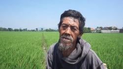Petani di Bojongsoang Bandung Terpaksa Pakai Air Sungai Citarum agar Sawah Tak Kekeringan<
