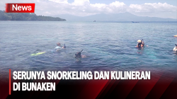  Menikmati Liburan Seru ke Bunaken, Wajib Snorkeling dan Kulineran
