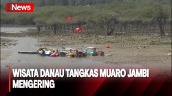 Objek Wisata Danau Tangkas Muaro Jambi Mengering Dampak El Nino