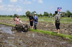 Mentan Dorong NTB Jadi Penyangga Pangan Indonesia Timur untuk Hadapi El Nino