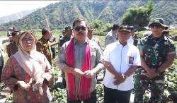 Hadapi El Nino, Pemerintah Jaga Ketersediaan Bawang Putih Lokal di Lombok Timur <