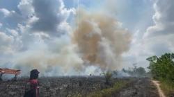 Kebakaran Lahan Gambut di Palangkaraya Kian Meluas, Jarak Api ke Jalan 5 Meter