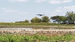 Tebar Benih hingga Semprot Obat Pakai Drone, Petani Hemat Jutaan Rupiah Pangkas Biaya Kuli
