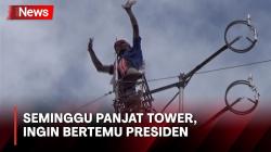 Ingin Bertemu Presiden, Pria di Kupang Minta Turun setelah Seminggu di Atas Tower