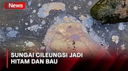 Sungai Cileungsi Bogor Berubah jadi Hitam dan Bau, Diduga Tercemar Limbah