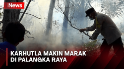 Lahan Kering Picu Maraknya Karhutla di Palangka Raya, Kobaran Api Dekati Rumah Warga