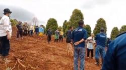 Konflik Lahan Wawonii, Puluhan Pohon Cengkeh Digunduli hingga Air Tanah Mengeruh