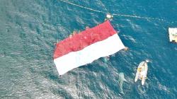 Heboh 3 Hiu Paus Iringi Pembentangan Bendera Merah Putih di Laut Gorontalo