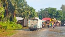 Banjir dan Longsor di Bengkulu Utara, Jalur Lintas Sumatera Terendam