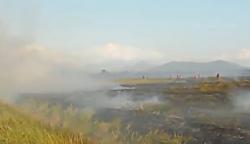 Karhutla di Tapin Nyaris Merembet ke Permukiman, Titik Api Hanya Berjarak Beberapa Meter<