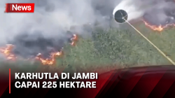 Sepanjang 2023 Karhutla di Jambi Capai 225 Hektare, Aparat dan Masyarakat Berjibaku Bersama