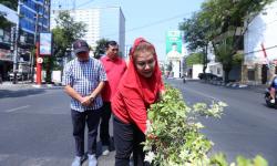  Antisipasi Dampak El Nino, Wali Kota Semarang Ajak Dinas Teknis Terjun ke Lokasi Rawan Bencana