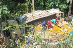 Kecelakaan di Kulonprogo Hari Ini, Truk Bermuatan Jeruk Terjun ke Jurang 1 Penumpang Tewas