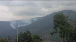 BMKG Pantau 2 Titik Panas di Kolaka Utara, 227 Hektare Hutan Berpotensi Terbakar<