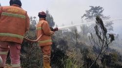 Diduga akibat Buang Puntung Sembarangan, Lahan Perhutani di Cianjur Terbakar<