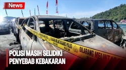 Parkir di Belakang Kantor DPRD Kota Jayapura, 12 Mobil Terbakar 