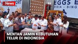 Ekspor Ratusan Ribu Telur, Menteri Pertanian Jamin Stok Telur di Indonesia