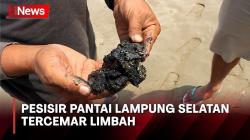 Tercemar Limbah Hitam Begini Kondisi Pesisir Pantai Lampung Selatan