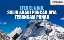Infografis Efek El Nino, Salju Abadi di Puncak Jaya Terancam Punah 