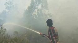  Karhutla di Palangka Raya, Warga Rasakan Bau Asap Menyengat Setiap Pagi