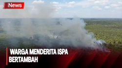  Dampak Kebakaran Lahan di Palangka Raya, Warga Menderita Ispa Bertambah 