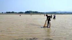 Waduk Sedong Cirebon Mengering, Warga Beburu Ikan secara Massal<