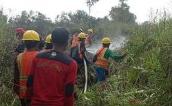Karhutla di Kalbar, Warga Ketapang Tewas Terjebak Api saat Bakar Lahan