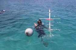 Restorasi Terumbu Karang untuk Perairan Makassar yang Lebih Baik