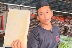 Heboh Petani Malaysia Untung Besar hingga Rp194 Juta dari Jual Petai