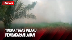 Tangkap Sejumlah Pelaku Pembakaran Lahan di Jambi,  Dansatgas Kembali Ingatkan akan Tindak Tegas