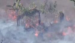 2 Ha Lahan Perkebunan di Parepare Terbakar, Api Mendekati Permukiman Warga