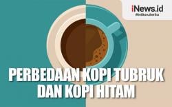 Infografis Perbedaan Kopi Tubruk dan Kopi Hitam