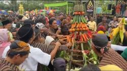 Peringatan 1 Abad Desa, Ribuan Warga Paseh Banjarnegara Berebut Gunungan Umbi dan Sayuran<