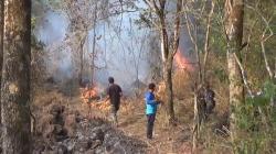 Api Kembali Muncul di Hutan Gunung Ciremai, Bupati Minta Polisi Lakukan Penyelidikan
