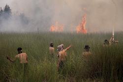 Petugas Gabungan Berjibaku Padamkan Kebakaran Hutan dan Lahan di Palangka Raya