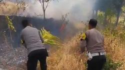 Karhutla Terjang Bumi Perkemahan Sindangkasih Majalengka gegara Warga Bakar Sampah<