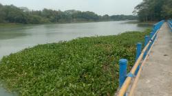 Cerita Duyeh Temukan Mayat Korban Penganiayaan oleh Oknum Paspampres di Karawang<