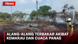 Kemarau dan Cuaca Panas, Alang-Alang di Lahan Kosong Pademangan Terbakar