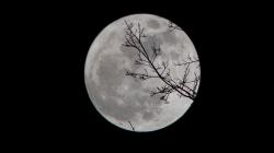 Super Blue Moon Berlangsung Malam Ini, Catat Waktu Puncaknya di Indonesia 