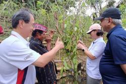 Pengembangan UMKM Pertanian Komoditas Mete, Vanili dan Kepiting di Manggarai Barat NTT