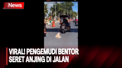 Sadis! Pengemudi Bentor Seret Anjing di Jalan Kota Makassar, Pecinta Hewan Lapor Polisi