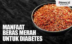 Infografis Manfaat Beras Merah untuk Diabetes