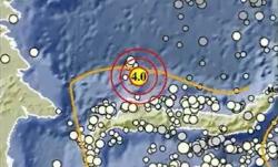 Gempa Hari Ini M4,0 Guncang Buol Sulteng