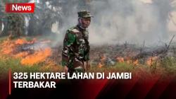 Ulah Masyarakat, Lahan Seluas 325 Hektare di Jambi Ludes Terbakar