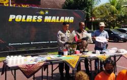 Tanam Ganja di Belakang Rumah, Warga Malang Ditangkap Polisi